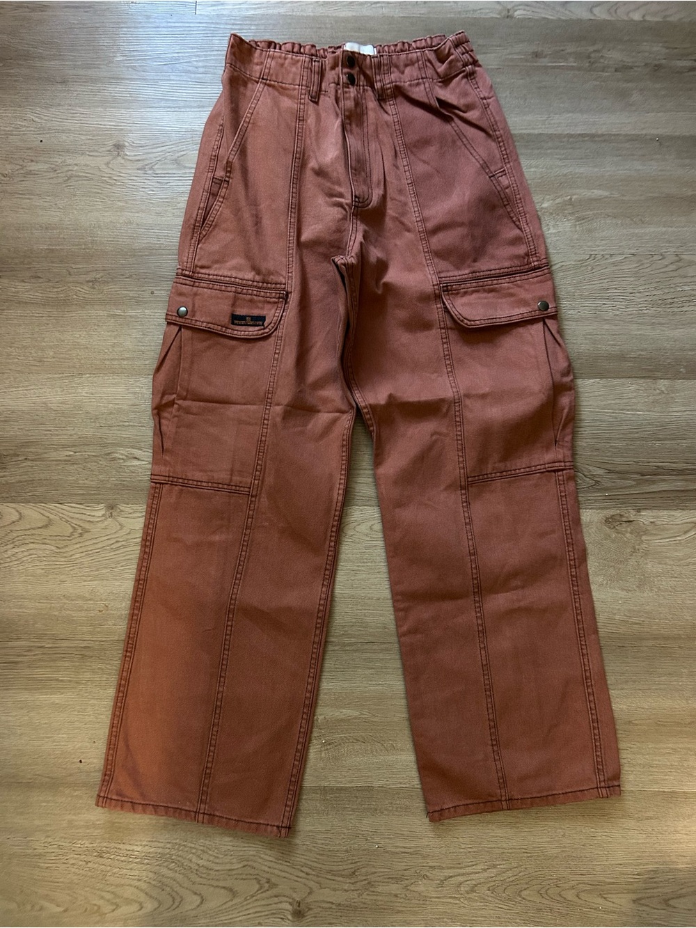NWOT BDG Urban Outfitters Slouchy Skate Cargo Jeans Rust Terracotta Sz 30 #544